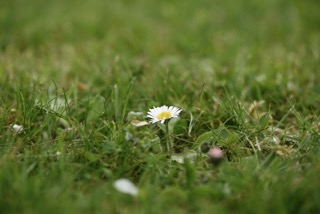 _DSC0260 Small Wohnwand aus massiver Buche