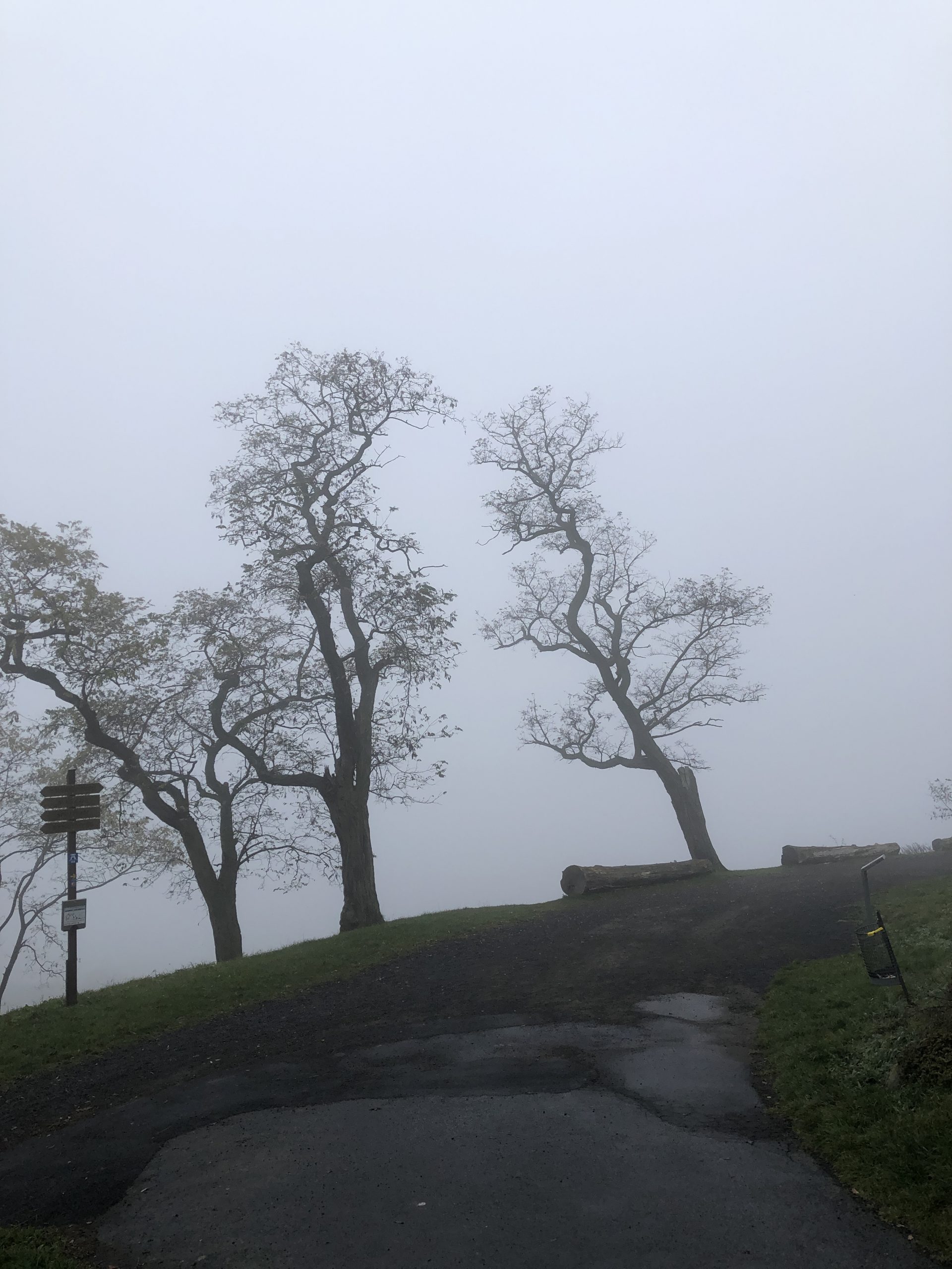 IMG_2229 Ferien wohnung