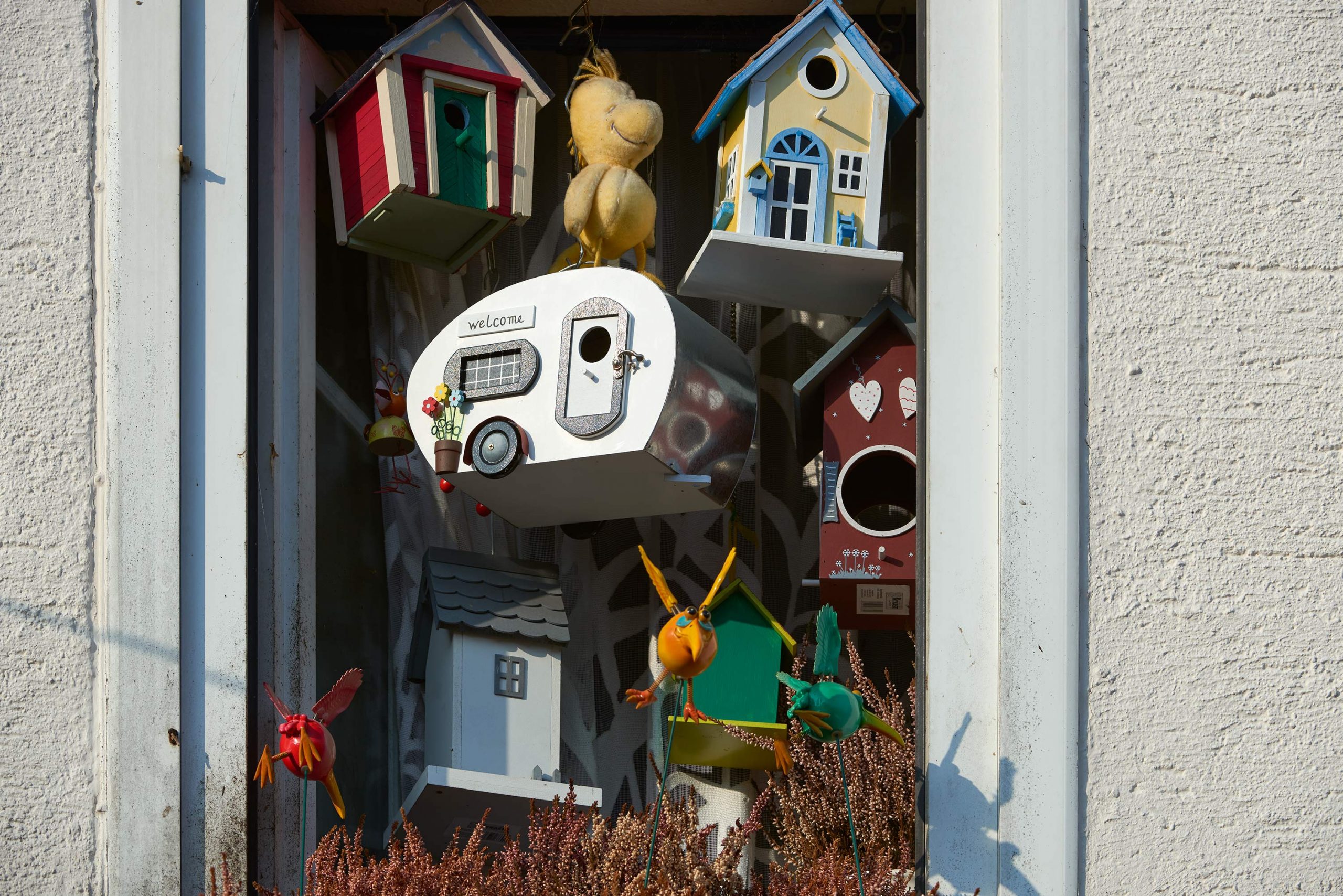 WOhnwagen_im_Fenster_VIE5256